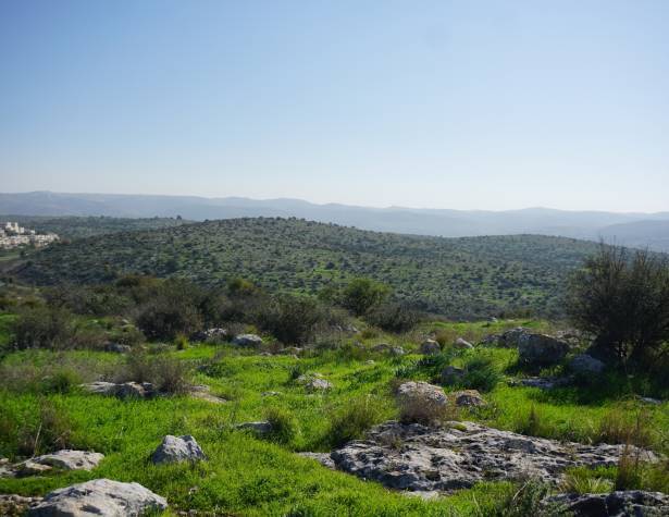 גבעת שר גבעת שר
