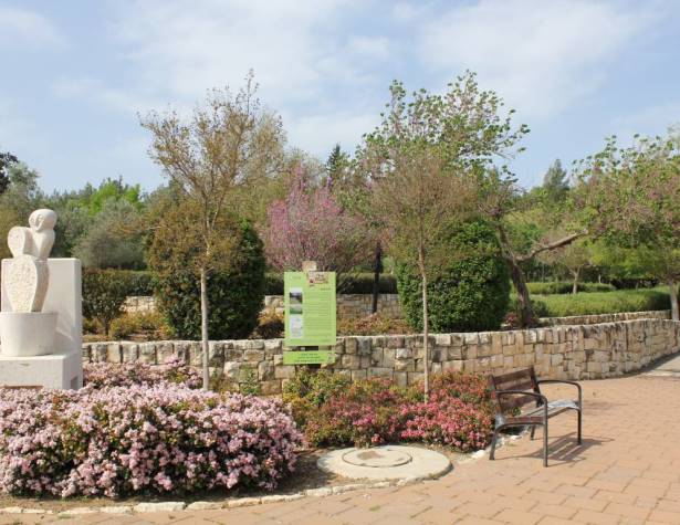 הכניסה ליער הילדים מדרך יאיר פרג