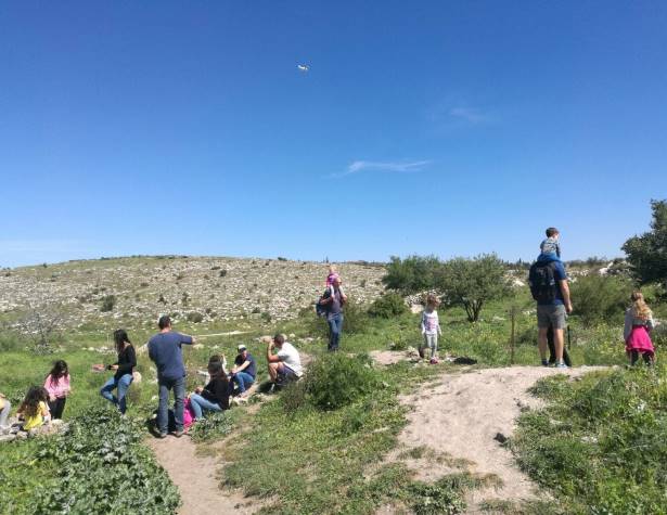 הגבעות הדרומיות