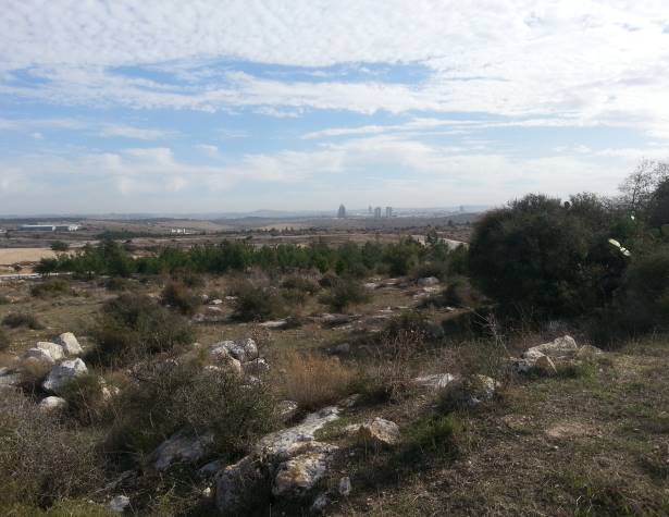 המראה מגבעת חרובה