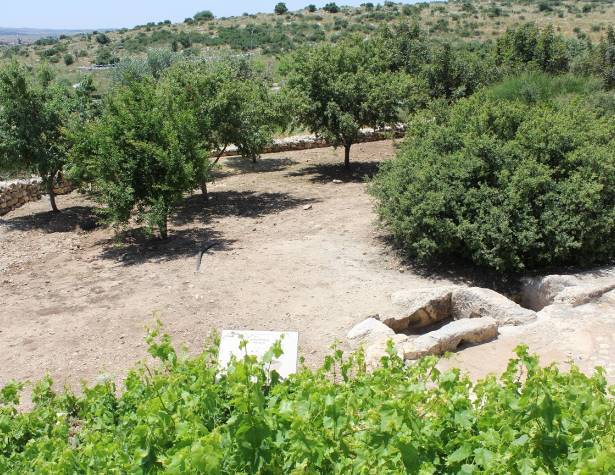 הבוסתן באתר הבוסתן באתר