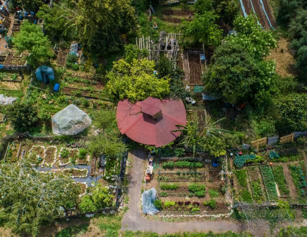 חווה אקולוגית חווה אקולוגית