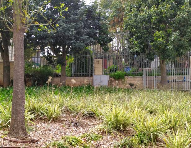 ביה"ס עידנים