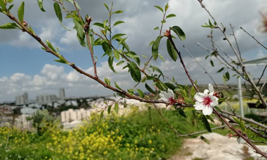 צילום: גילי כליף, כיתה  ג', בית ספר אסיף