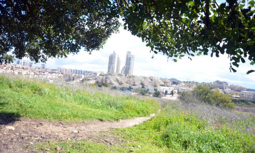 צילום: זהר יאיר, כיתה א'2, בית ספר שיבולים