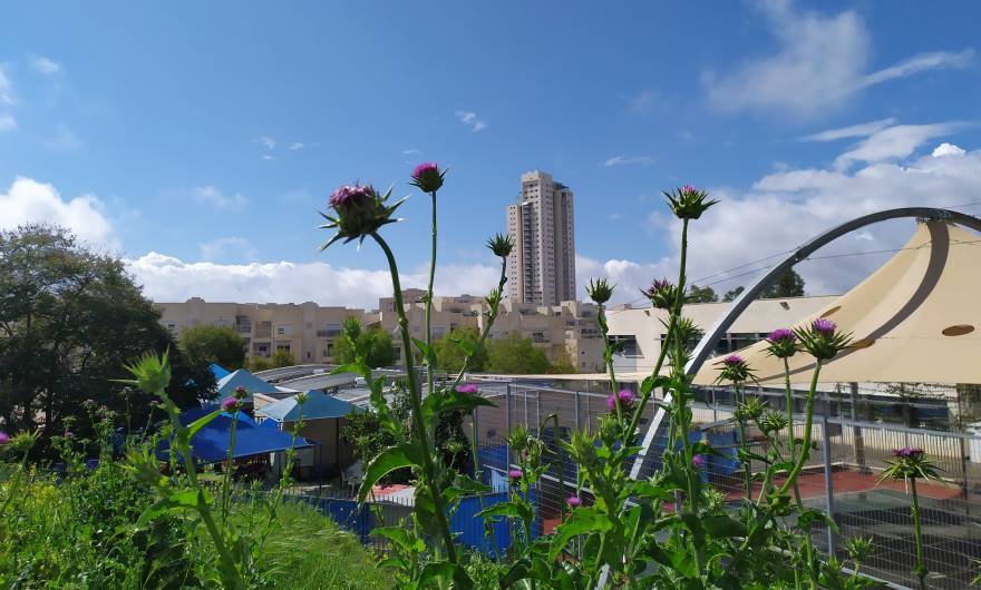 צילום: נועם הופמן, כיתה ד'1,  בית ספר יוזמה