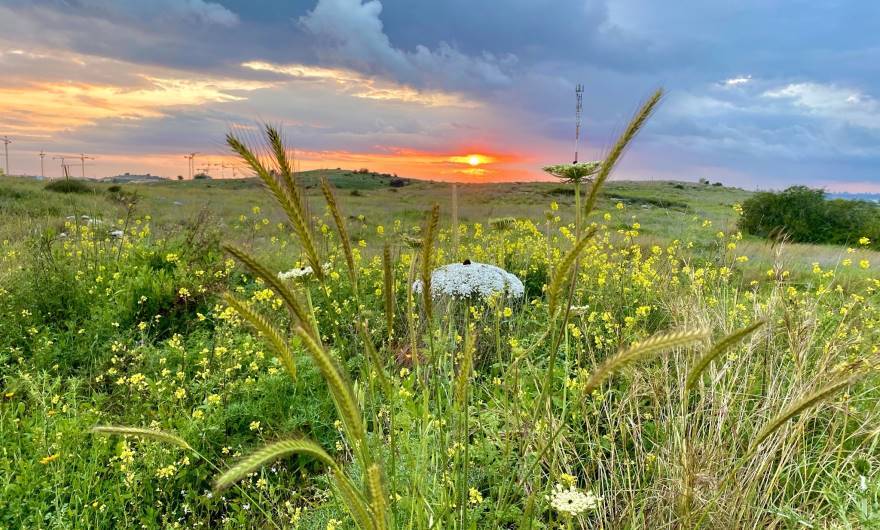 צילום: ארטמיס ארקוש, כיתה ו', בית ספר רמון