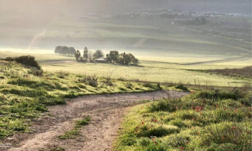 צילום: ירדן דומיניץ ,כיתה ו'4,  בית ספר משואות נריה