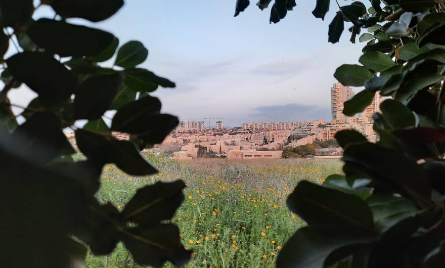 צילום: בעז פסנטין , כיתה ב'1, בית ספר יחד
