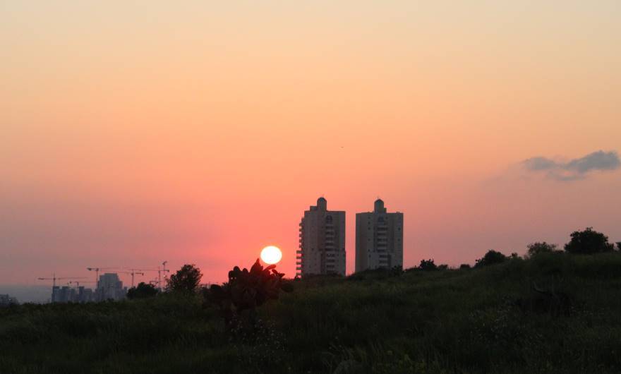 צילום: אורי בוסקילה ,כיתה י', בית ספר אמית בנים
