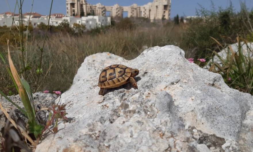 צילום: איתן  שור, כיתה י' ,בית הספר אמית