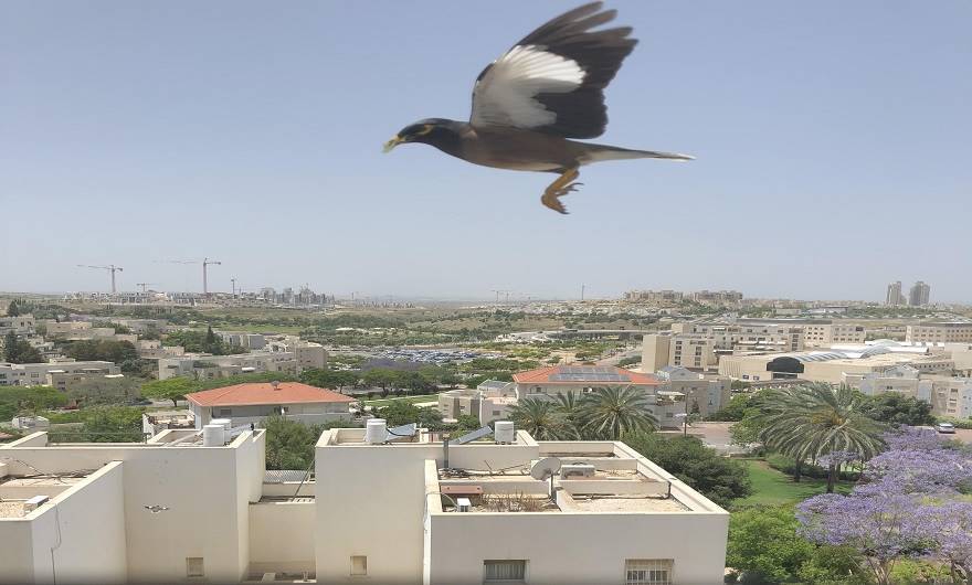 צילום: ליאורה קרני, כיתה יא' , בית ספר עירוני ב'