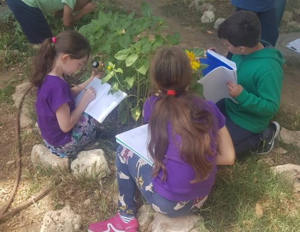 פעילות בבית ספר עידנים