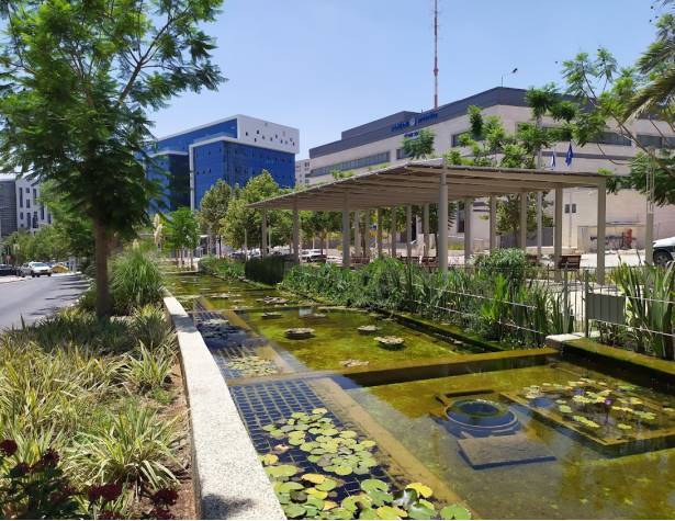 בריכה אקולוגית בריכה אקולוגית