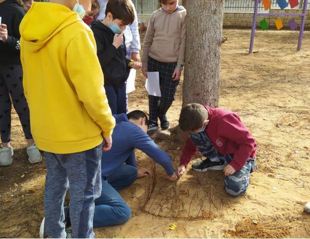 בית ספר אופק בית ספר אופק