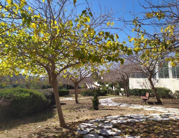 חורשת הנופלים 