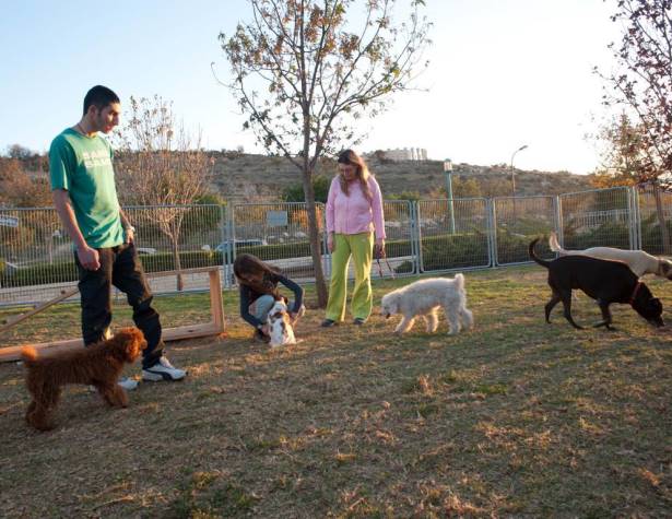 גינת כלבים בעמק איילון
