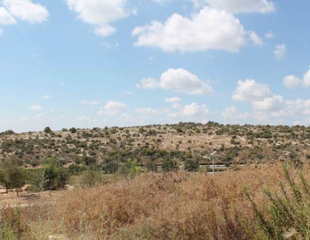 שכונת גבעת שר העתידית