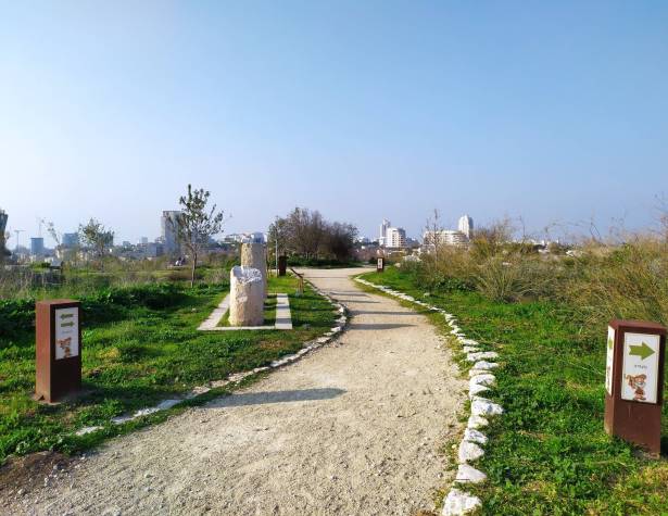 גבעת התיתורה