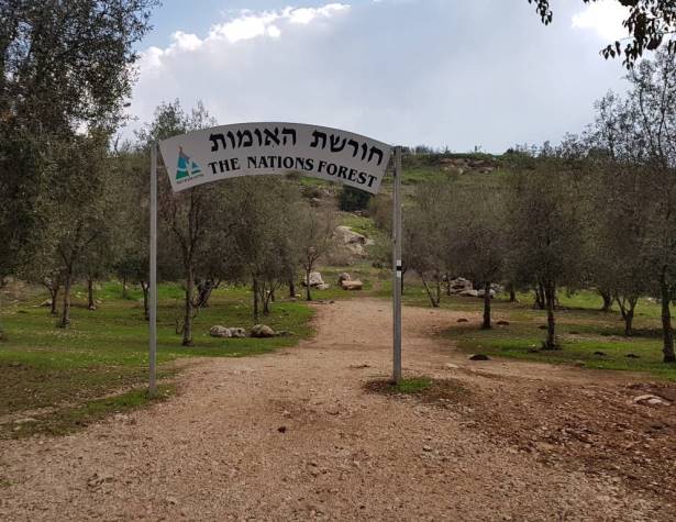 חורשת האומות