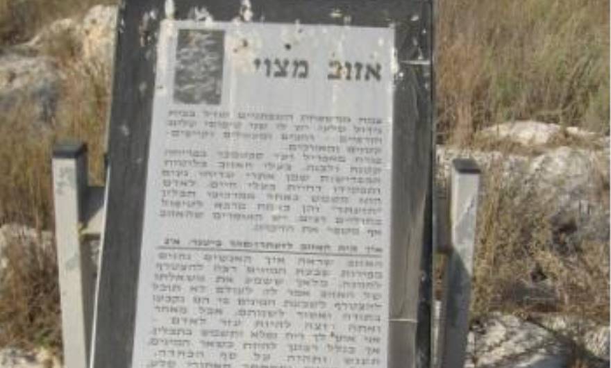 תמונות: הסבר על אזוב מצוי