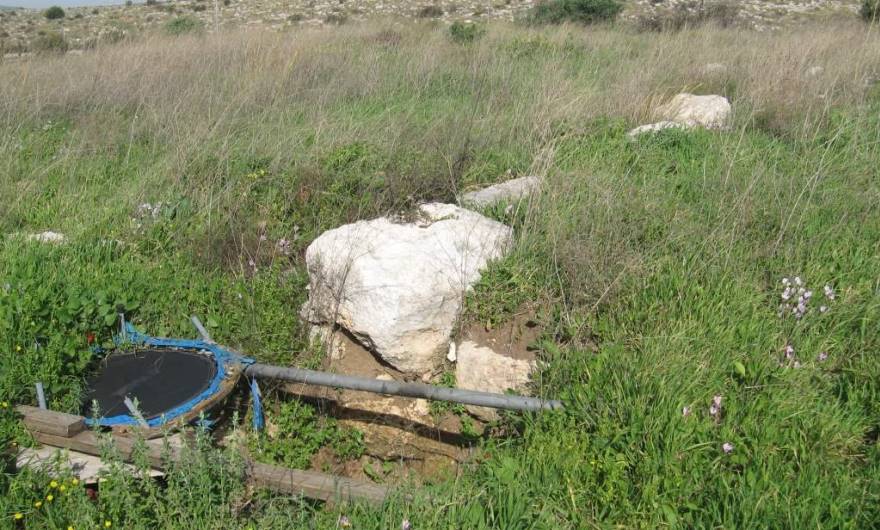 בוטניקה: פינת מבנה קדום, סמוך לבור המים