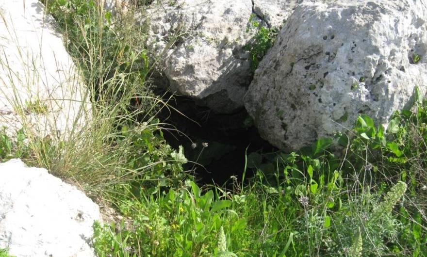 בוטניקה: פתח לא-מכוסה של חלל תת-קרקעי  