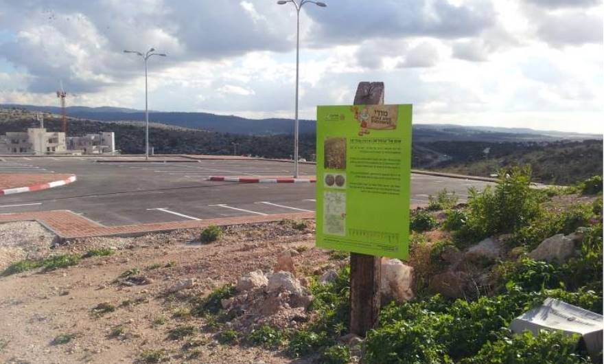סיור מצולם באתר הארכיאולוגי: מגרש החנייה ושלט ההסבר ברחוב ראובן	