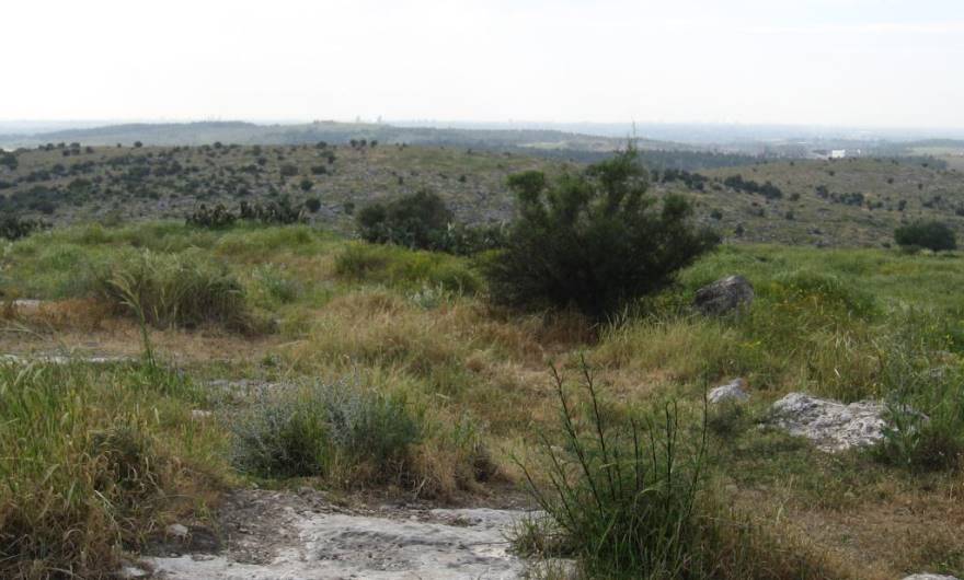 תמונות: מבט מפסגת ברפיליה מערבה