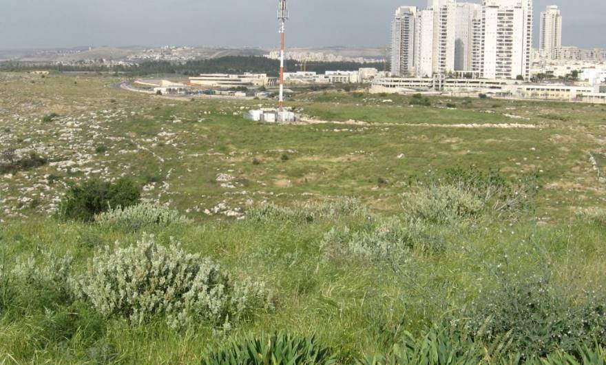 תמונות: מבט מפסגת ברפיליה אל עבר קצה שדרות עמק בית-שאן