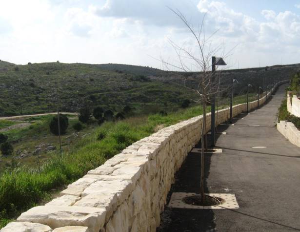 טיילת חוט השני וערוץ נחל ענבה – מראה כללי