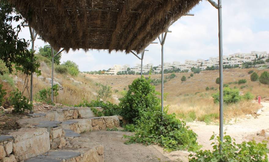 תמונות: סככה בנחל ענבה