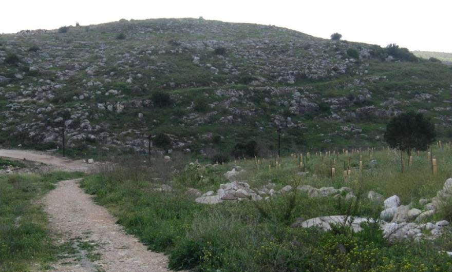 תמונות: השביל היורד מטיילת חוט השני אל אפיק נחל ענבה