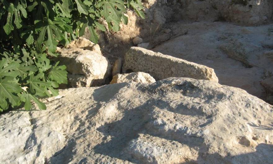 תמונות: גרם-מדרגות חצוב העולה לאחד מחדרי האגף הדרום-מערבי של בית החווה האומאיי