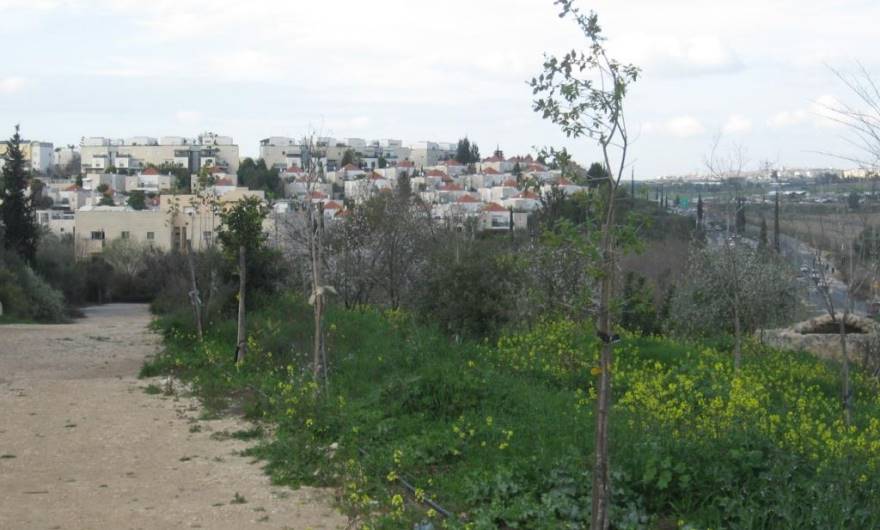 תמונות: מזרח יער הילדים תמונות: מזרח יער הילדים