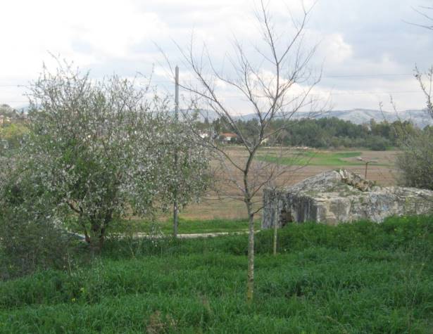 סית' מנע סית' מנע