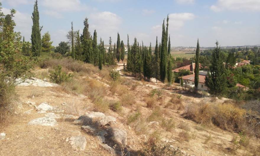 תמונות: בתת זקנן שעיר במדרון הצפון-מזרחי