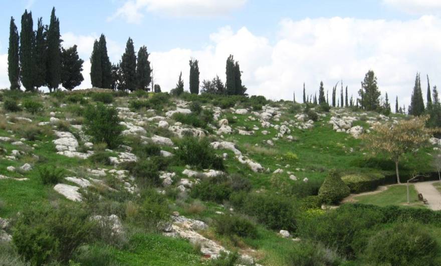 תמונות: בתה שיחנית על המדרון המזרחי. מימין – גן ציבורי במכבים (ראה הערות)