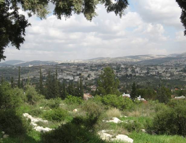 תצפית מזרחה מראש גבעת הברושים