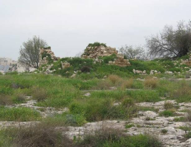 גבעות חדת גבעות חדת