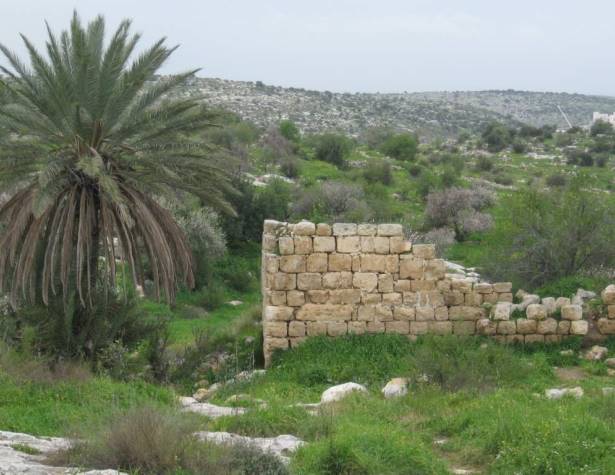 גבעות חדת גבעות חדת