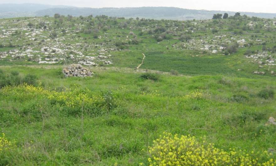 אלבום תמונות: גבעות בארית (משמאל) וקנובה (מימין) והבקעה שבין הגבעות – מבט דרומה מראש גבעת חדת אלבום תמונות: גבעות בארית (משמאל) וקנובה (מימין) והבקעה שבין הגבעות – מבט דרומה מראש גבעת חדת