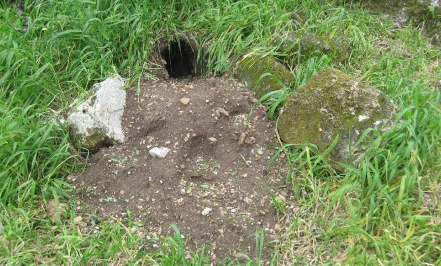 אלבום תמונות: חסידות בגבעת בארית אלבום תמונות: חסידות בגבעת בארית