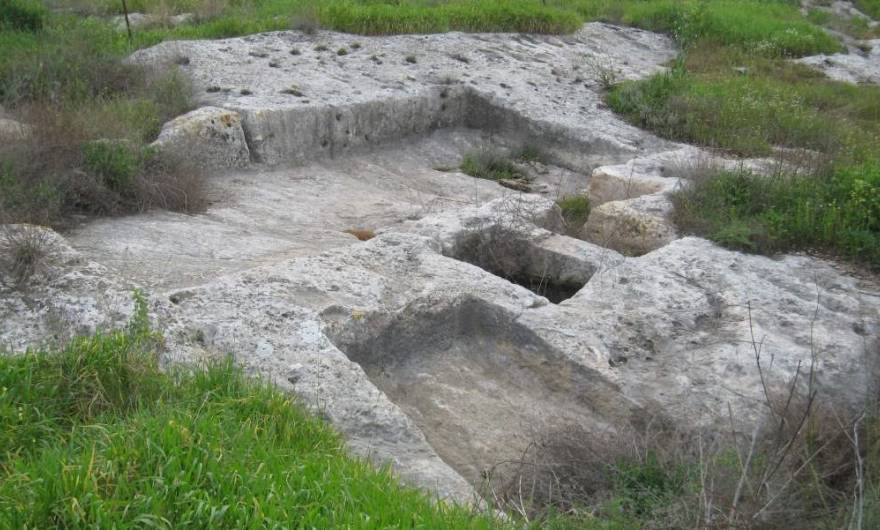 אלבום תמונות: גת גדולה במיוחד במדרון הצפוני. בגב מים במקום אותר צמח נדיר – דמסון כוכבני אלבום תמונות: גת גדולה במיוחד במדרון הצפוני. בגב מים במקום אותר צמח נדיר – דמסון כוכבני