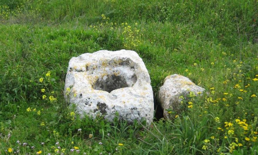 אלבום תמונות: חוליית בור מים ועמוד עתיק בפסגת גבעת חדת אלבום תמונות: חוליית בור מים ועמוד עתיק בפסגת גבעת חדת