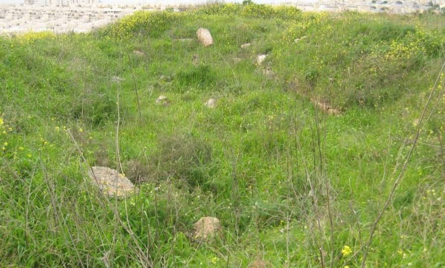 אלבום תמונות: אתר הכנסייה בפסגת חורבת חדת אלבום תמונות: אתר הכנסייה בפסגת חורבת חדת