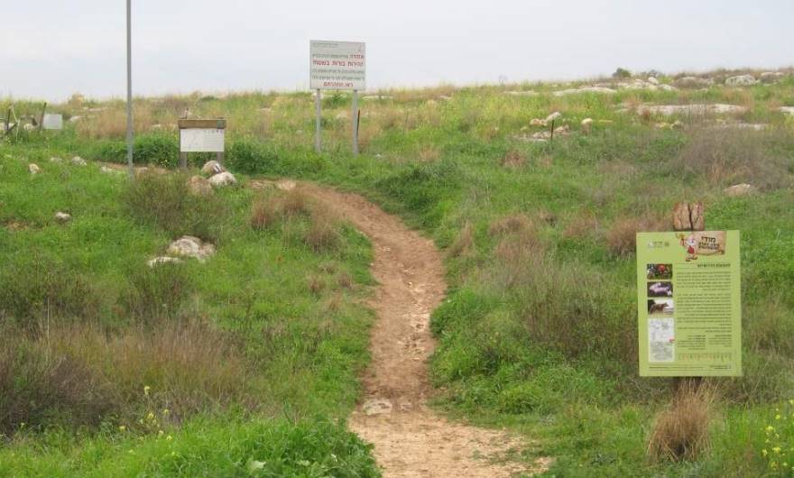 אלבום תמונות: תחילת המסלול, ליד כיכר השוטר אלבום תמונות: תחילת המסלול, ליד כיכר השוטר