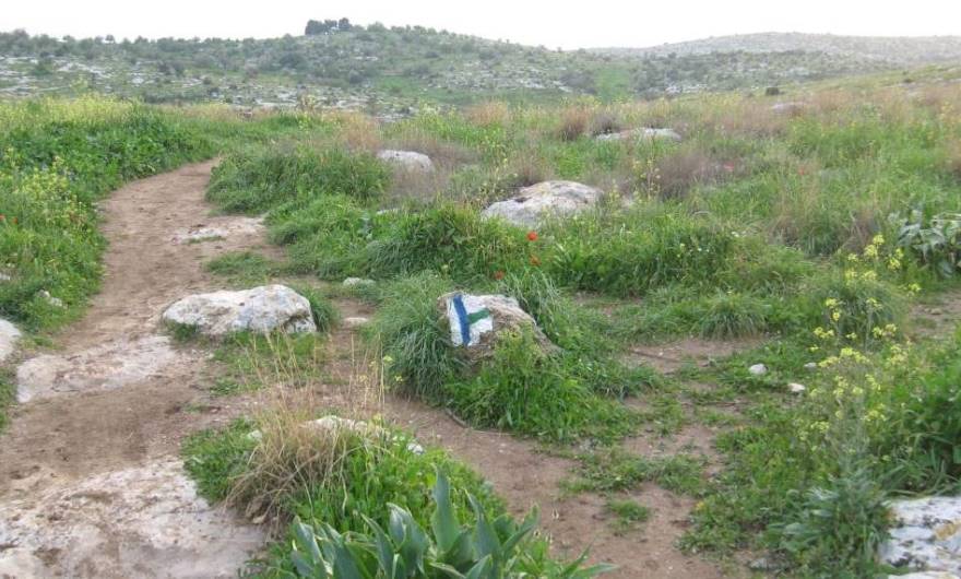 אלבום תמונות: פיצול השביל אל עבר חורבת חדת אלבום תמונות: פיצול השביל אל עבר חורבת חדת