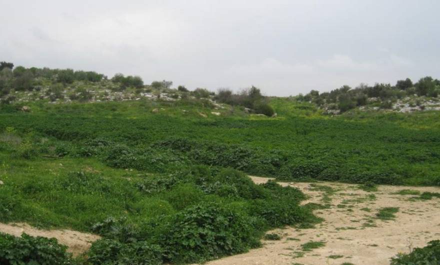 אלבום תמונות: אלבום תמונות: