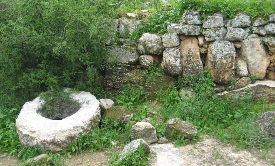 אלבום תמונות: אלבום תמונות: